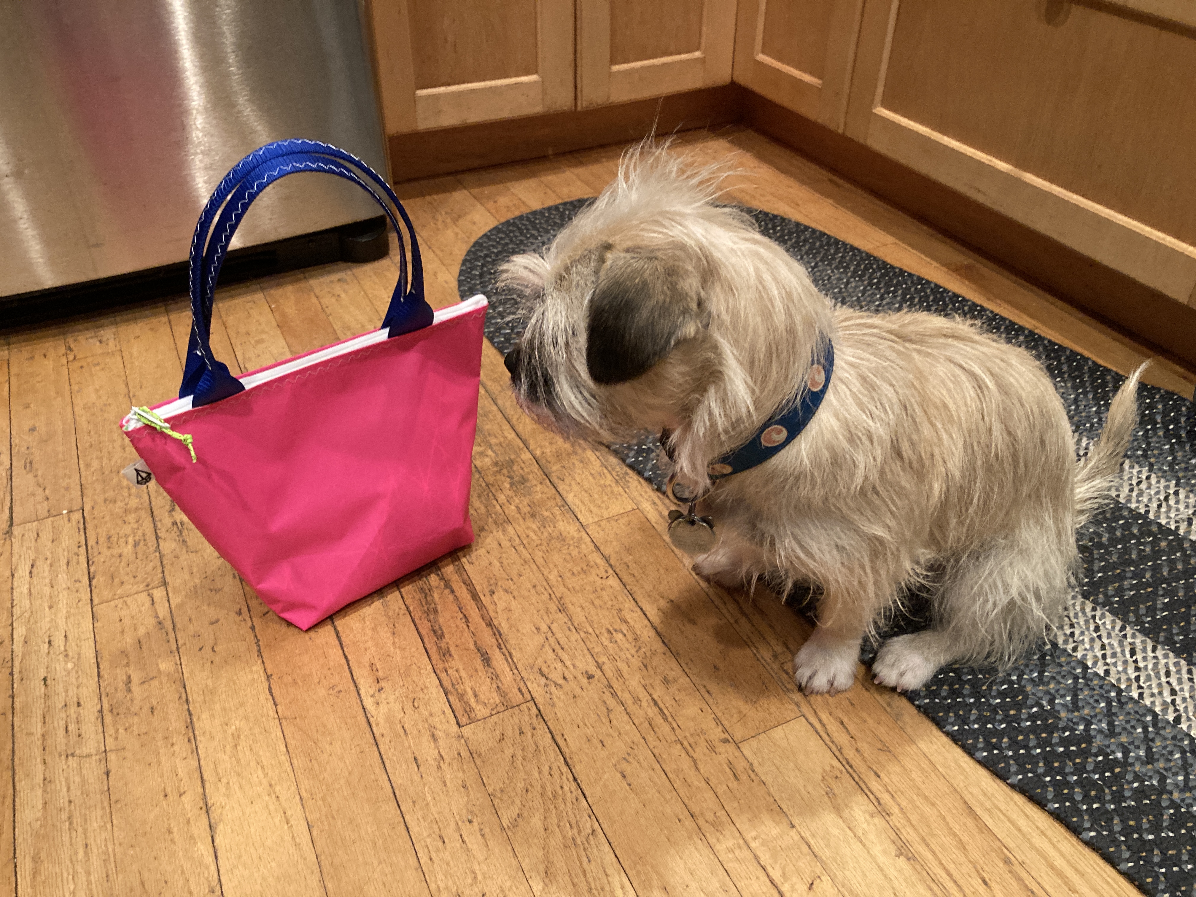 Pink mini tote with the shop dog