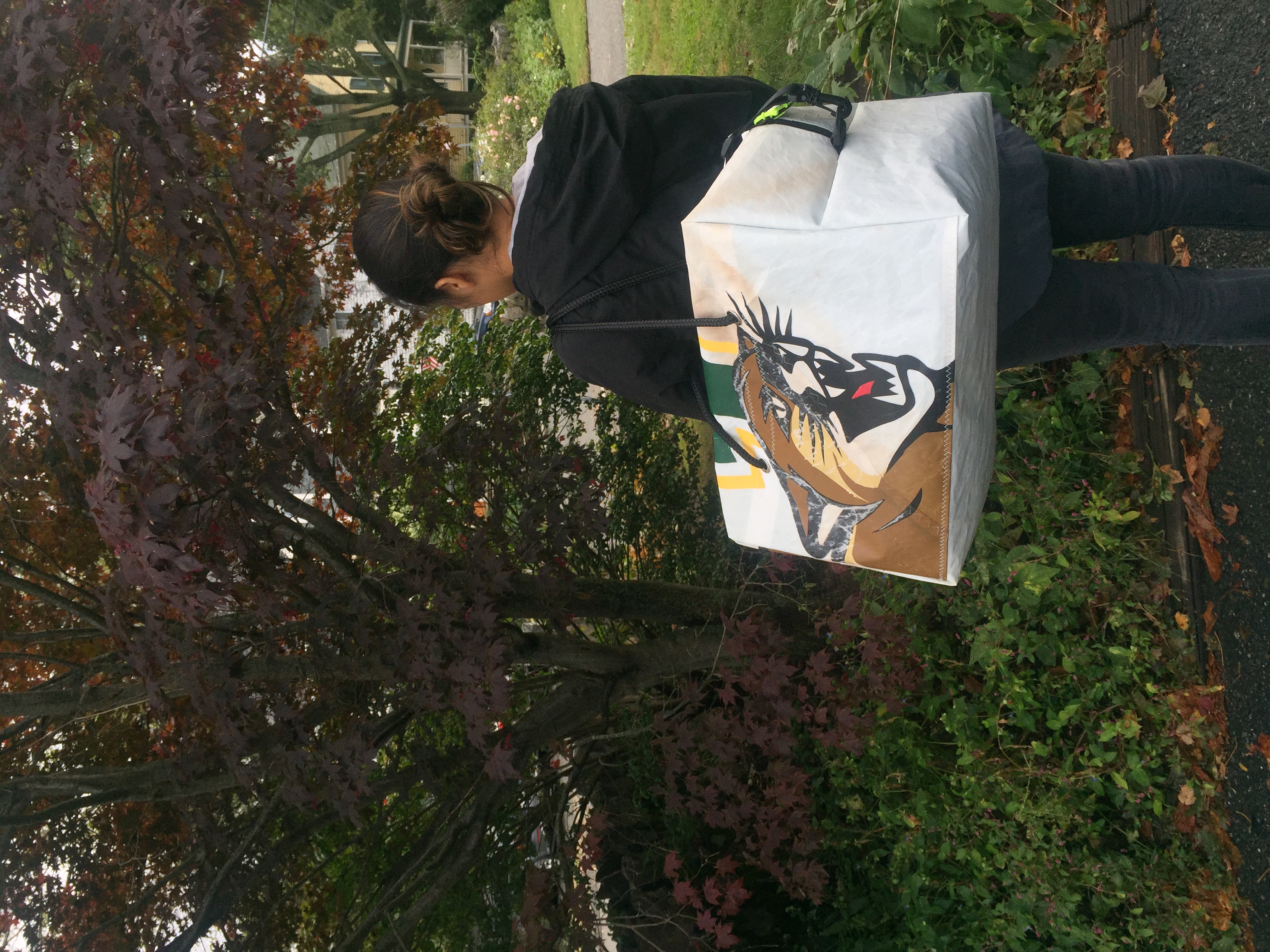 Sailcloth tote with a tiger graphic, carried on a fall walk